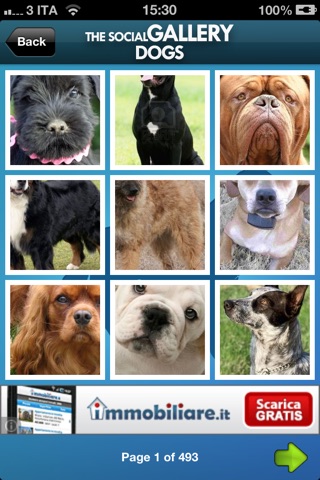 The Social Gallery - Dogs screenshot 4