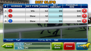 Virtual Horse Racing 3D Lite screenshot 4