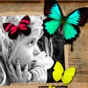 Butterfly Cam HD