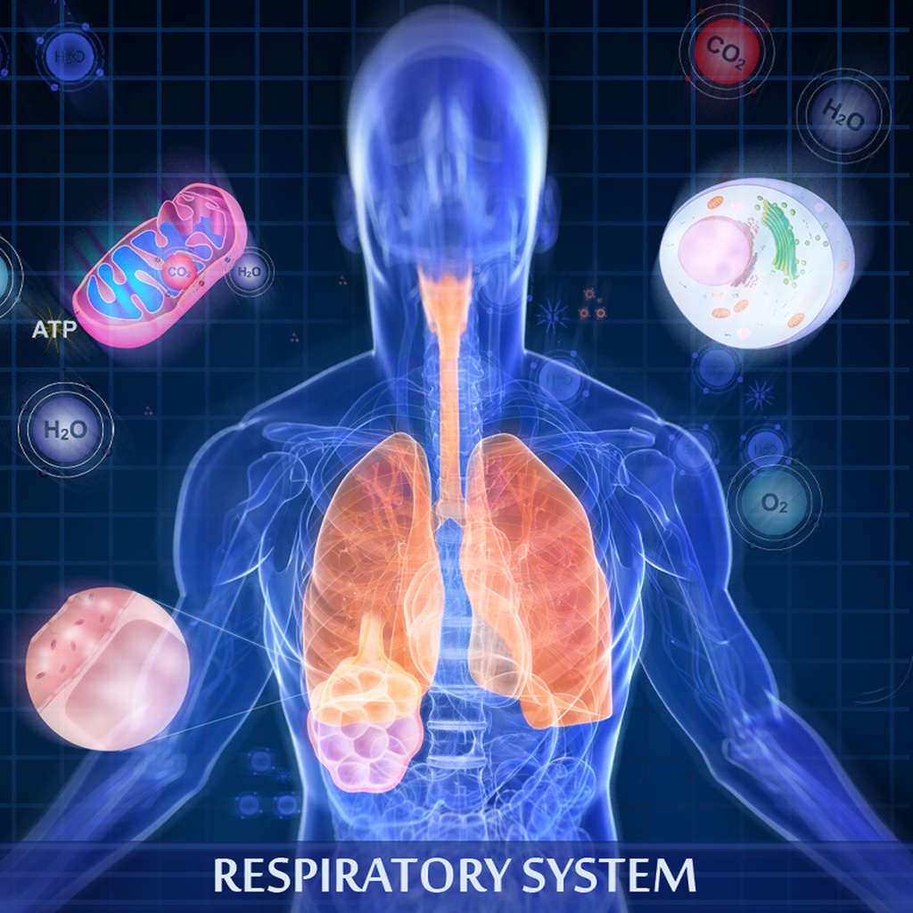 Respiratory System icon