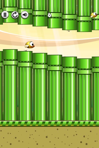 Flappy Quacky : A Flying Bird Game - Tilt and Shift to Live screenshot 4