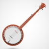 Banjo - Learn How To Play Banjo