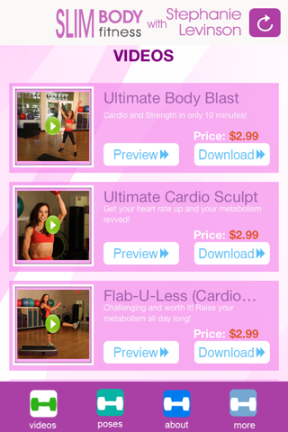 Slim Body Fitness with Stephanie Levinson screenshot 2