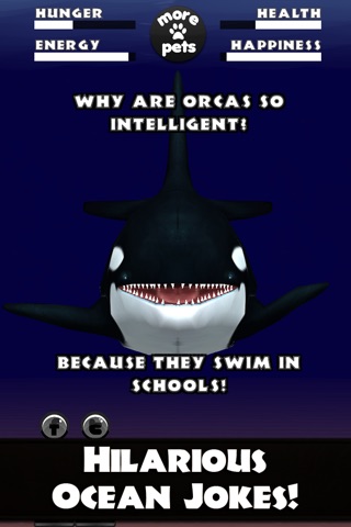 Virtual Pet Orca - The Killer Whale screenshot 4