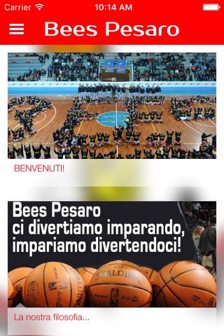 Bees Pesaro screenshot 2