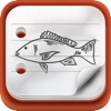 Fish Diary