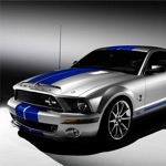 Mustang Gallery