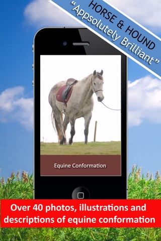 Equine Conformation - Horsemanship Lessons for Equestrians screenshot 4
