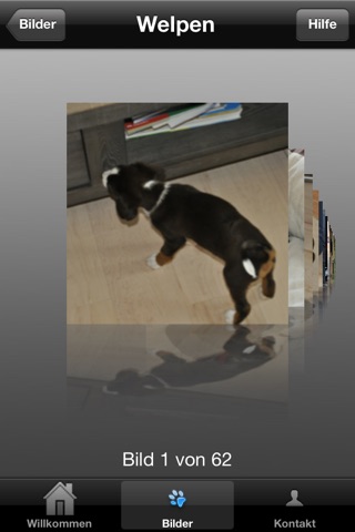 Appenzeller-Hunde screenshot 3