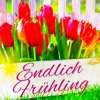 Frühlings-Gedichte - Gedichte, die Lust auf Frühling & Garten machen