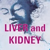 Liver and Kidney Functionality