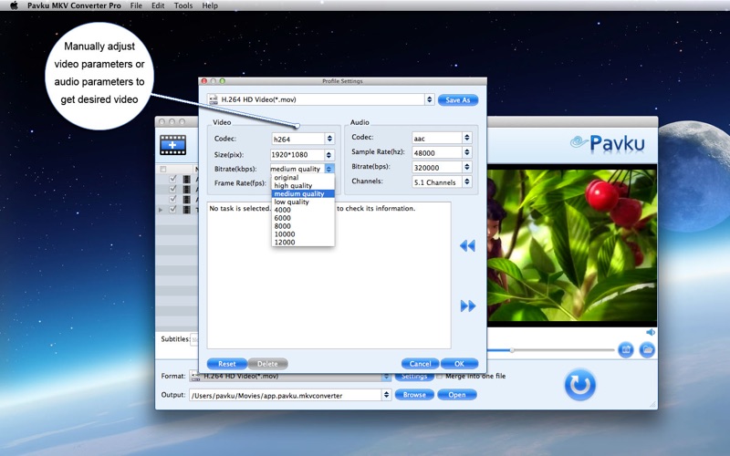 Pavku MKV Converter Pro thumbnail 3