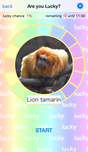 Are you lucky? Animal Spinner(圖1)-速報App