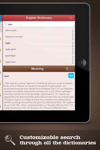 Pocket Dictionary 20in1 Lite screenshot 4
