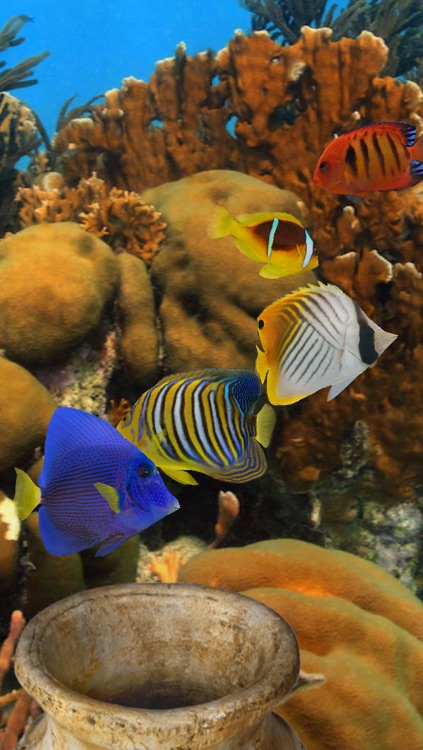 MyReef 3D Aquarium 2 Lite