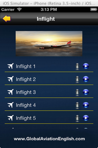 Flight Attendant Announcement screenshot 3