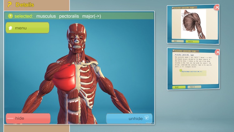 Easy Anatomy 3D