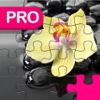 Zen Jigsaw Puzzle Pro Edition For Daily Fun & Adventure