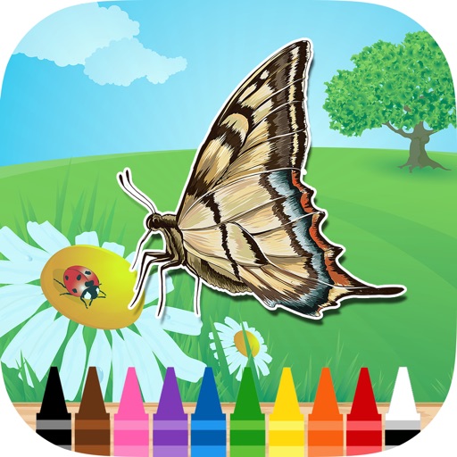 Butterfly Coloring Book : Draw Coloring Page for Toddlers Free Icon