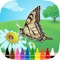 Butterfly Coloring Book : Draw Coloring Page for Toddlers Free