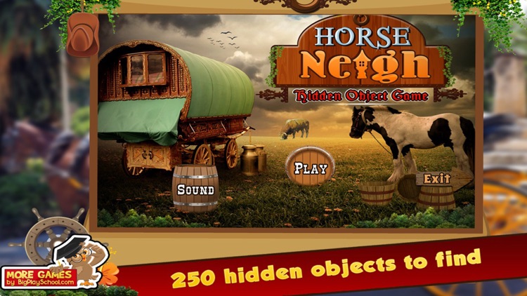 Horse Neigh Hidden Object Games