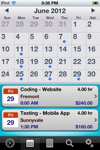 HoursWiz Pro - Personal hours keeper, time tracker & timesheet manager screenshot 4