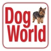 Sharda Bakers Dog World Magazine - Everything you need to know about the amazing world of dogs.