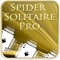 Spider Solitaire Pro for iPad