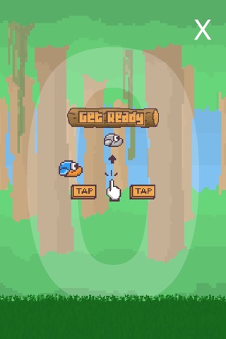 Bird Clock Lite screenshot 3