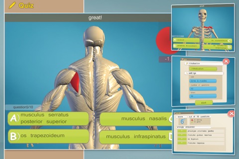 Easy Anatomy 3D screenshot 4