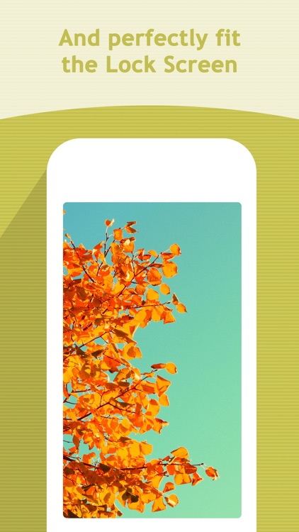 Seasons Wallpapers & Backgrounds - HD Themes screenshot-3