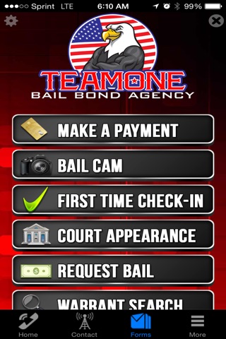 Team One Bail Bonds screenshot 2