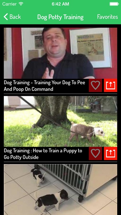 How To Train a Dog - Ultimate Video Guide