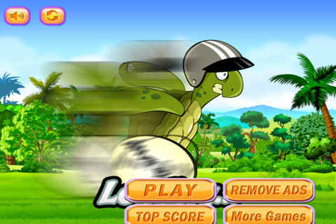 Turbo Turtle : Sky Dash of the Fast Running Indy Racer screenshot 2