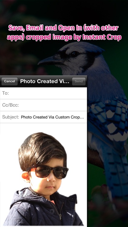 Custom Crop screenshot-4
