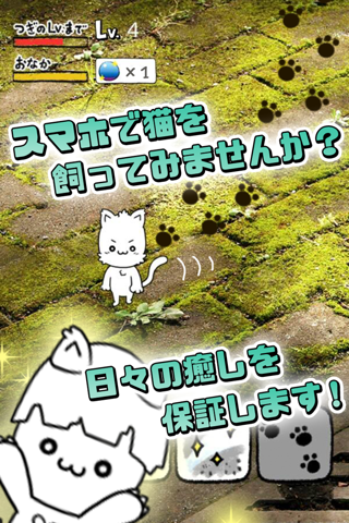 にゃんこ日和〜ほのぼの子猫育成ゲーム〜 screenshot 2