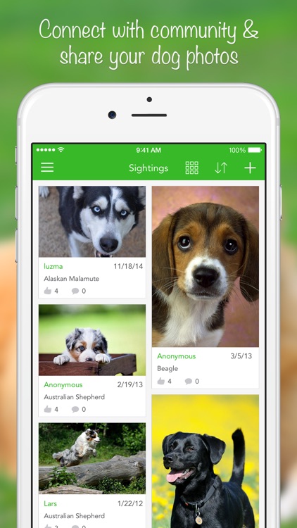iKnow Dogs 2 LITE - NATURE MOBILE - Dog Breed Guide and Quiz Game screenshot-4