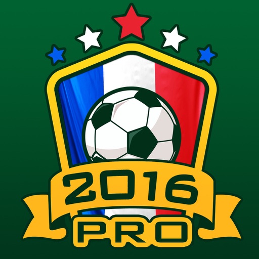 EURO 2016 Manager Pro Icon