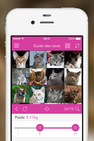 iKnow Cats 2 PRO - Cat Breed Guide screenshot 2