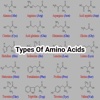 Types Of Amino Acids