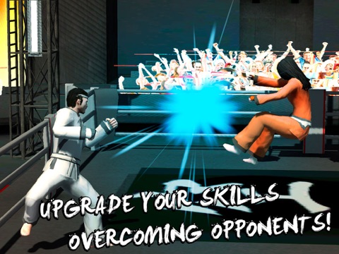 Karate Do Fighting Tiger 3D Games Fighting Tiger Earn Points