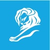 Cannes Lions Networking
