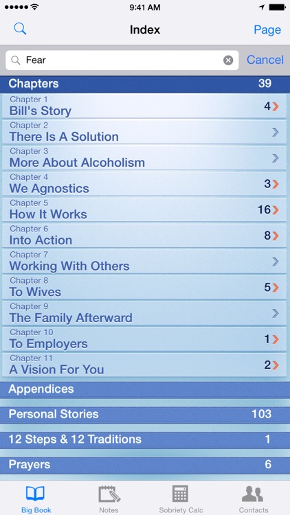 12 Steps Companion