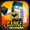 Pixel Fighter 3D - iPadアプリ