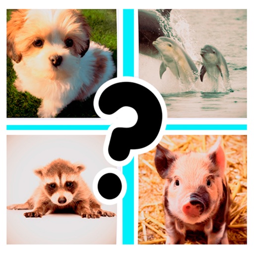 Cute Baby Animals Pics Quiz Icon