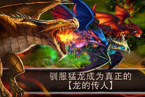 Petagon: Rise of the Dragonlord screenshot 2