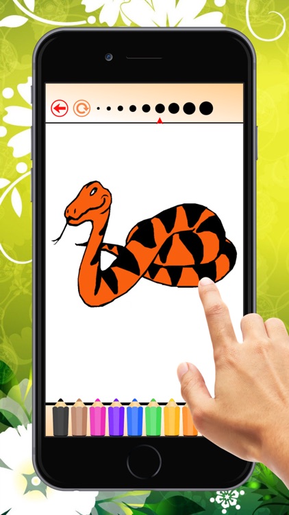 Snake Coloring Book for Children: Learn to color a cobra, boa, anaconda and more