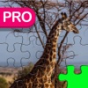 Safari Jigsaw Quests Collection With Unique Puzzle Pics