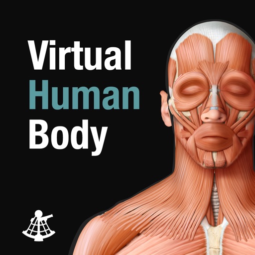Virtual Human Body Icon