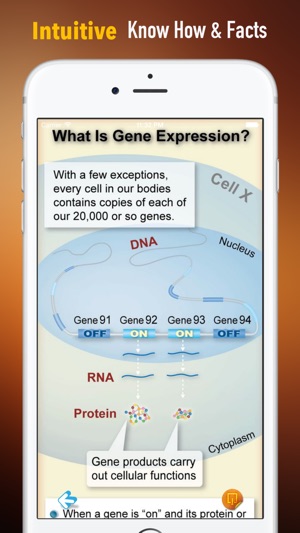 Genes 101:Theory and Biological Basic